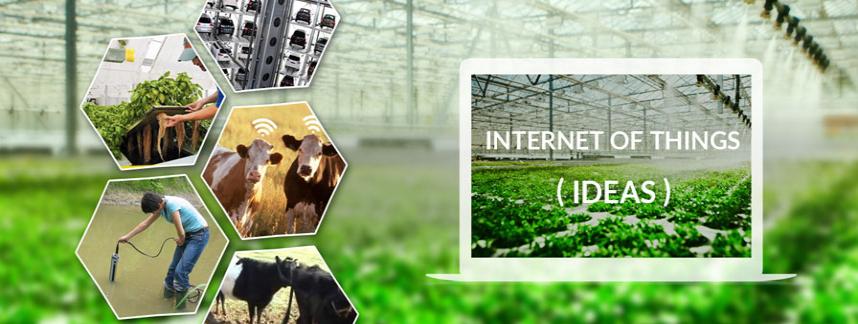 IoT for Aquaponics and Dairy system